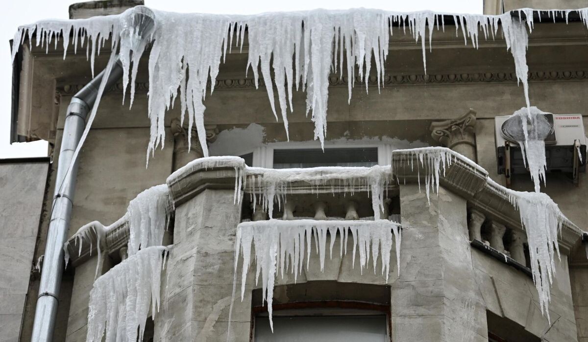     Последствия ледяного дождя. Источник: ria.ru Автор фото: Максим Блинов