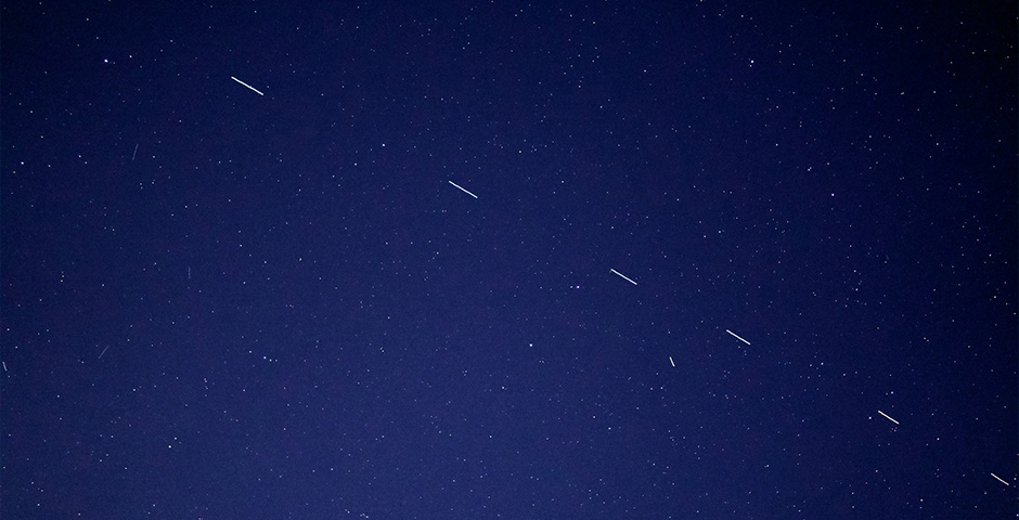    Фото: Forest Katsch/Unsplash