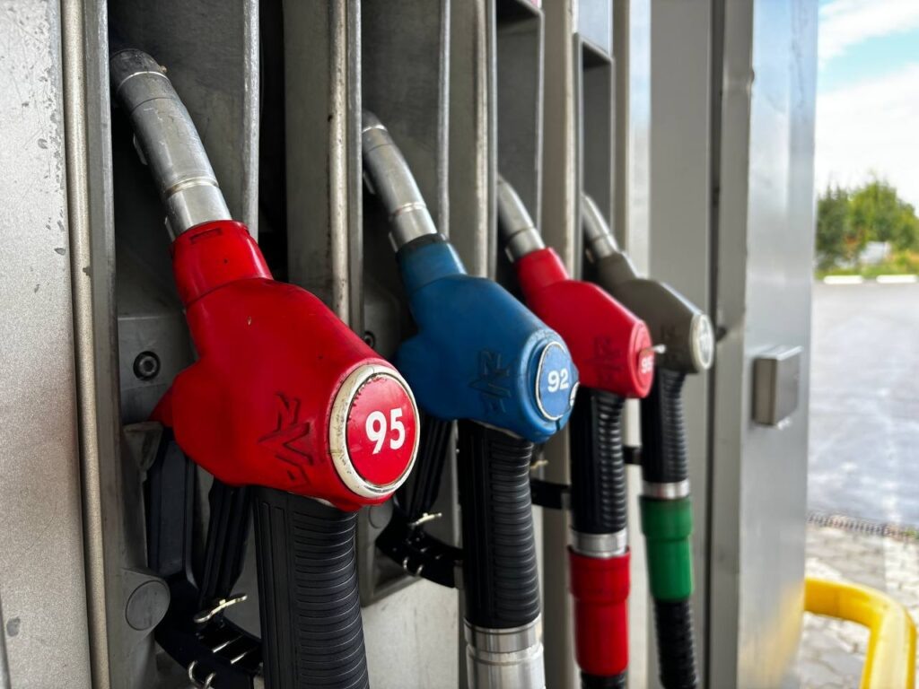    Фото: Анна Бахошко