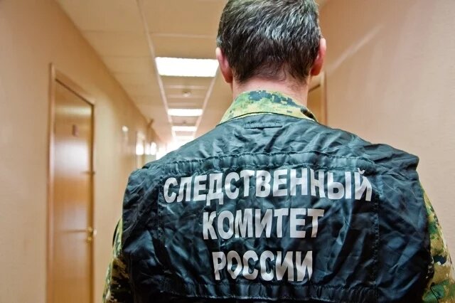    Руслан Цаликов. Досье