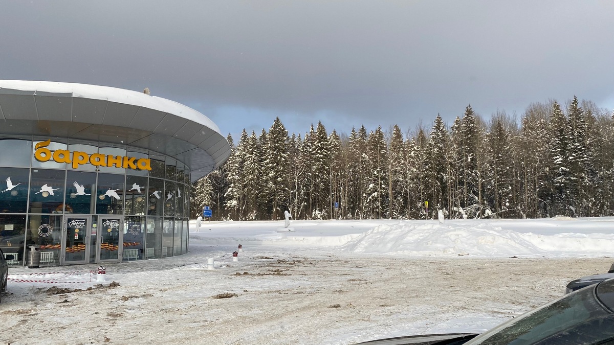 Кафе в районе Грязовца (Вологодская область)