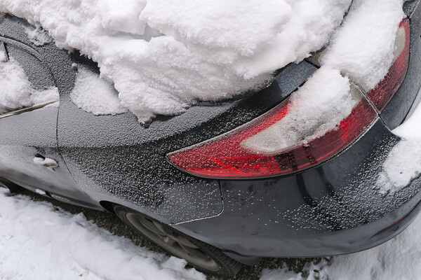 John1179/Shutterstock/FOTODOM   📷