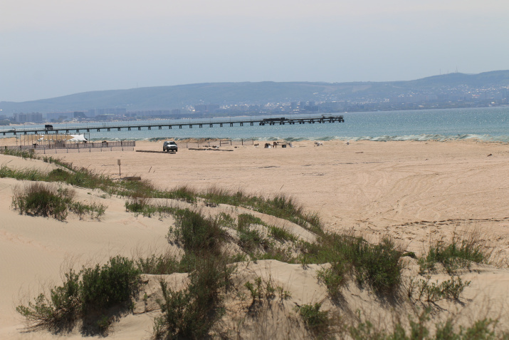 Обследование Азово-Черноморской прибрежной зоны. Фото: Природоохранительная комиссия