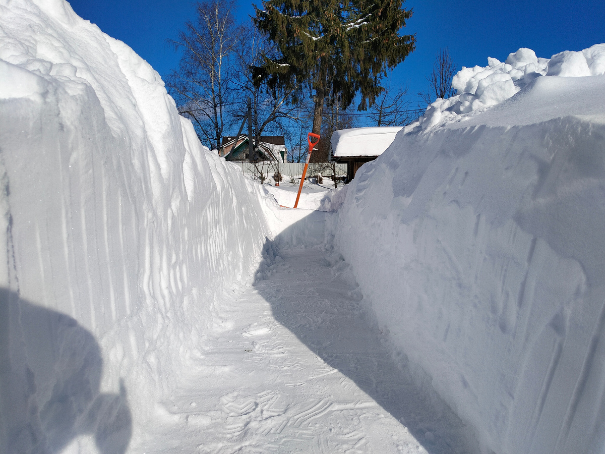 Пробиваем дорожки на даче заново каждые выходные. Зима 2026. Фото автора @Маша Генералова