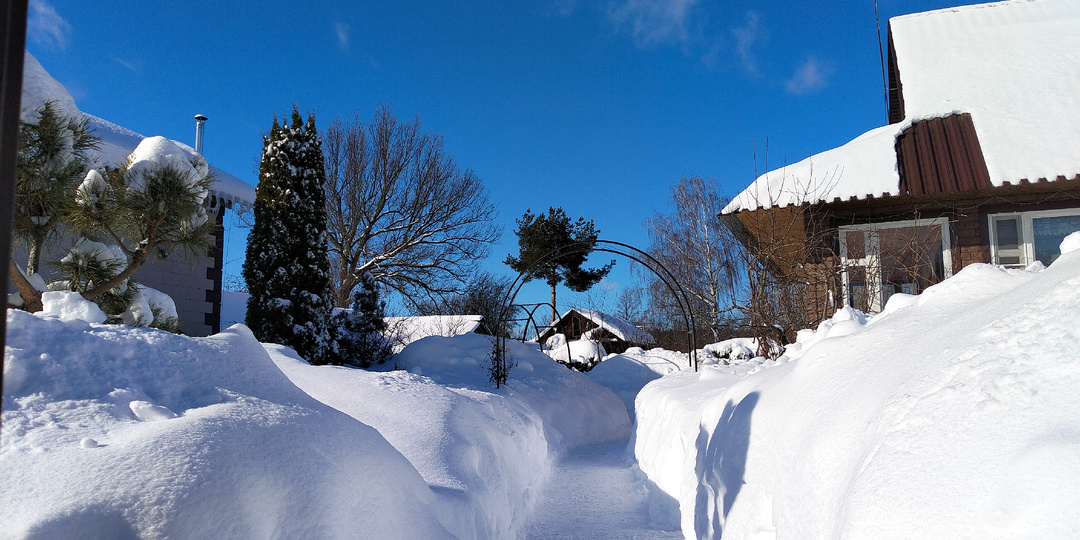 Март в нашем саду на даче