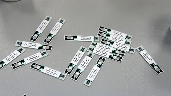    © Sputnik / Виталий Белоусов