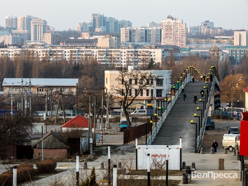     Фото: Павел Колядин (архив)