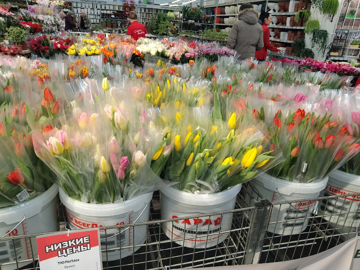 Фото  автора