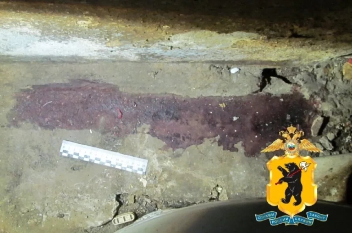    Жителя Рыбинска подозревают в убийстве матери-инвалида и ее сожителя