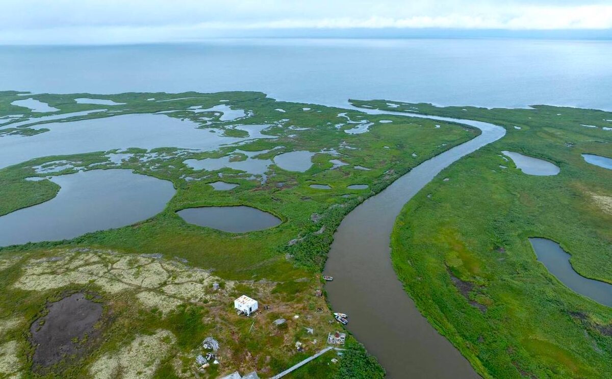 Фото: участник проекта «Заповедное дело РГО» Павел Решетов