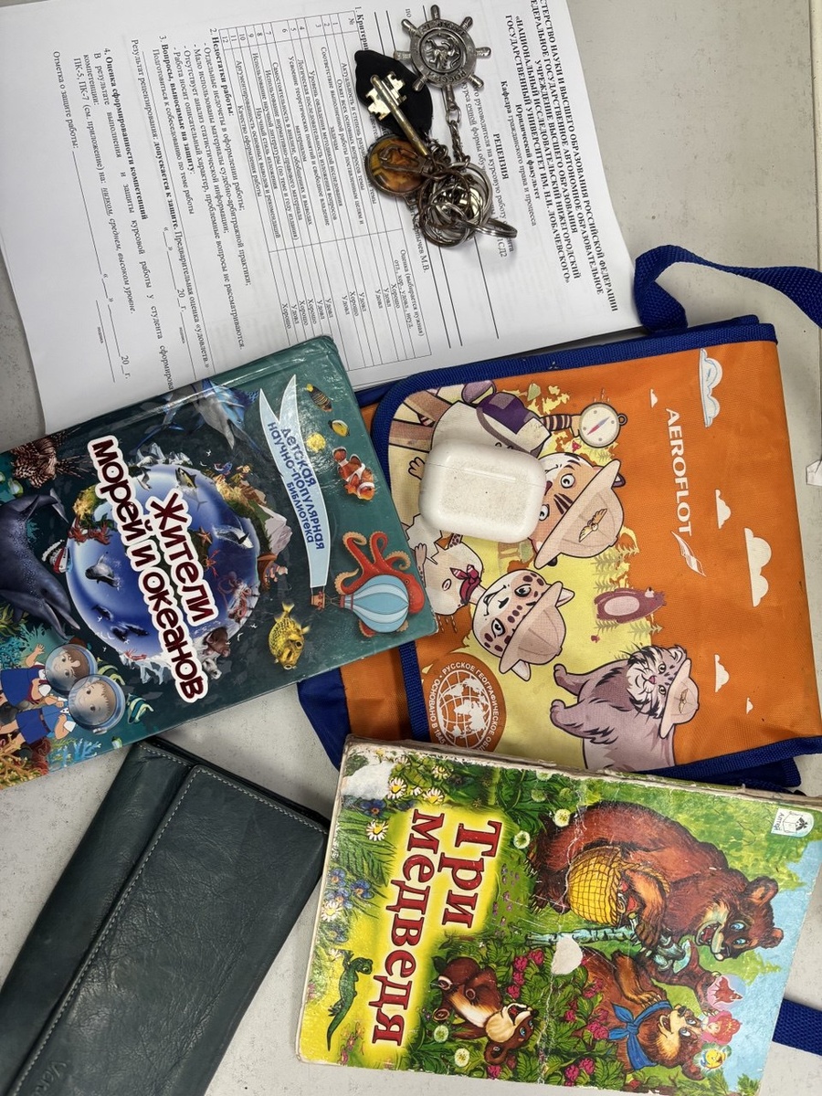    Более 150 забытых вещей нашли кабинах Нижегородской канатной дороги