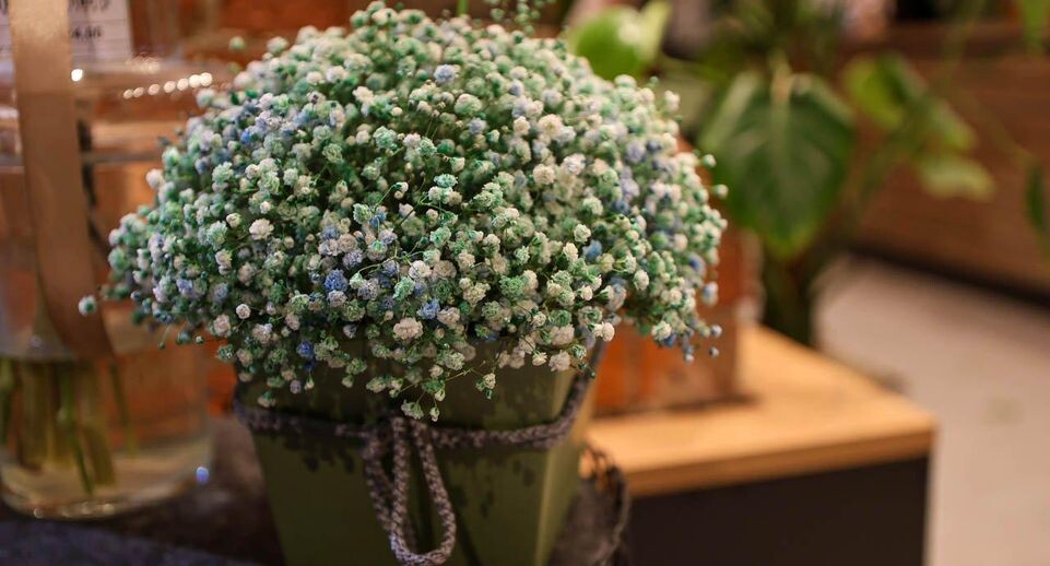    REGIONS/Роман Малышенко