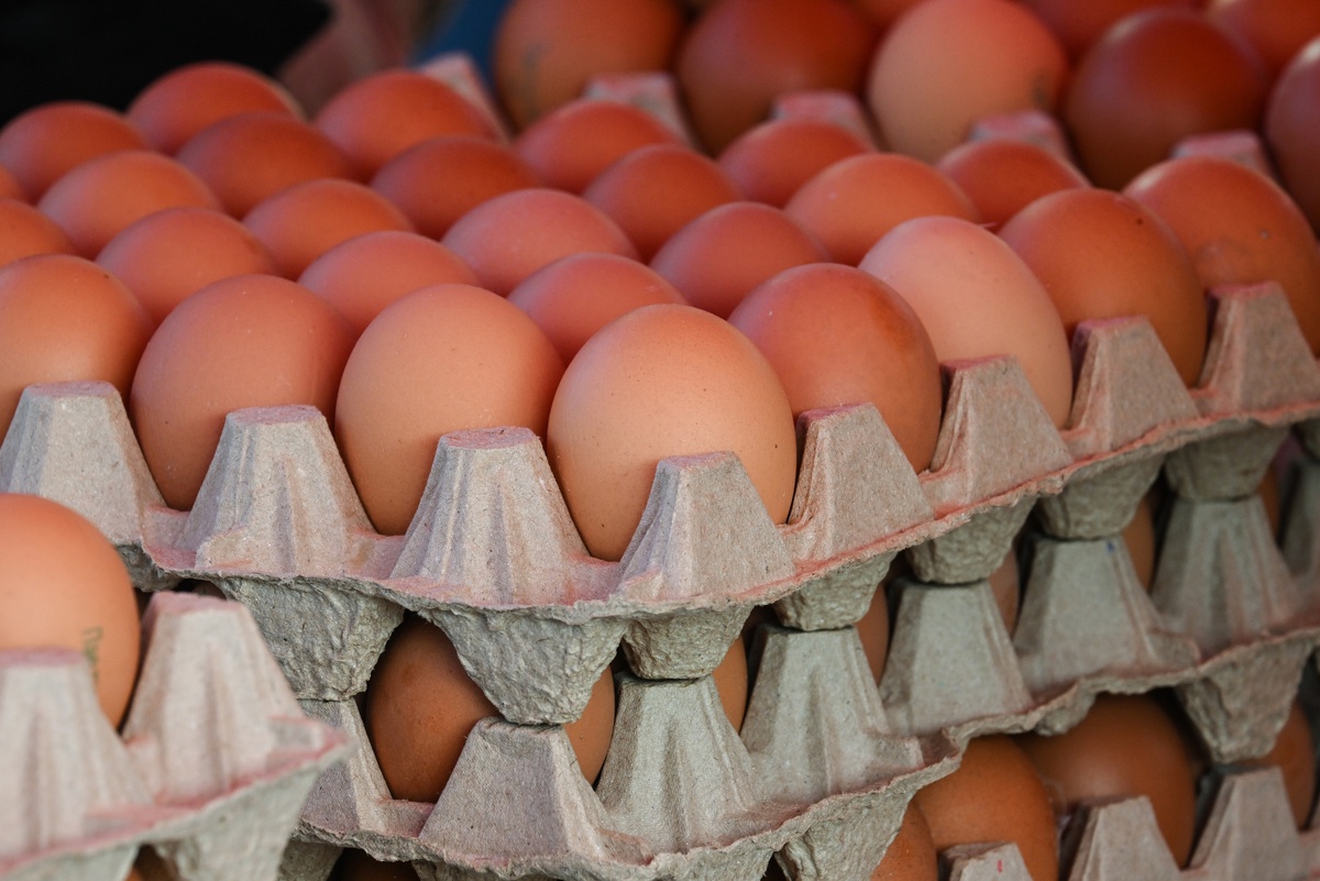    Константин Михальчевский/РИА Новости