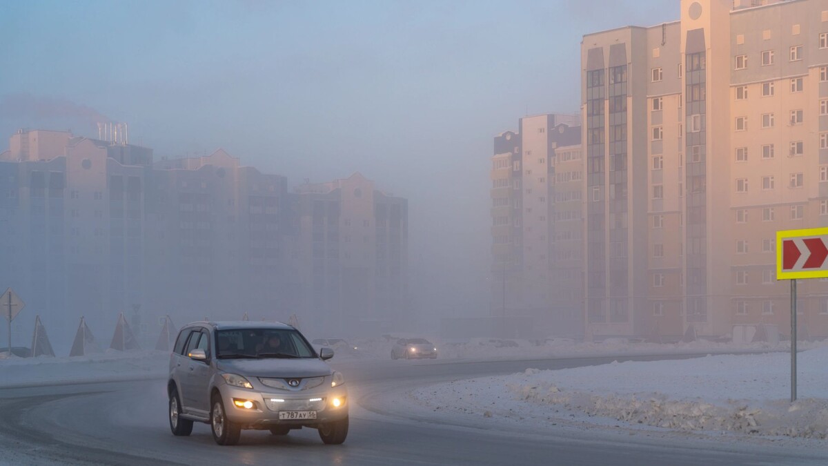   Фото: Сергей Зубков/«Ямал-Медиа»
