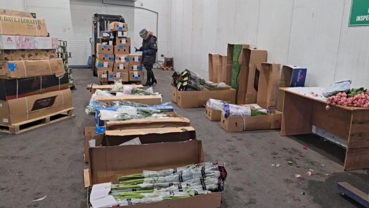    Фото: пресс-служба Северо-Западного межрегионального управления Россельхознадзора