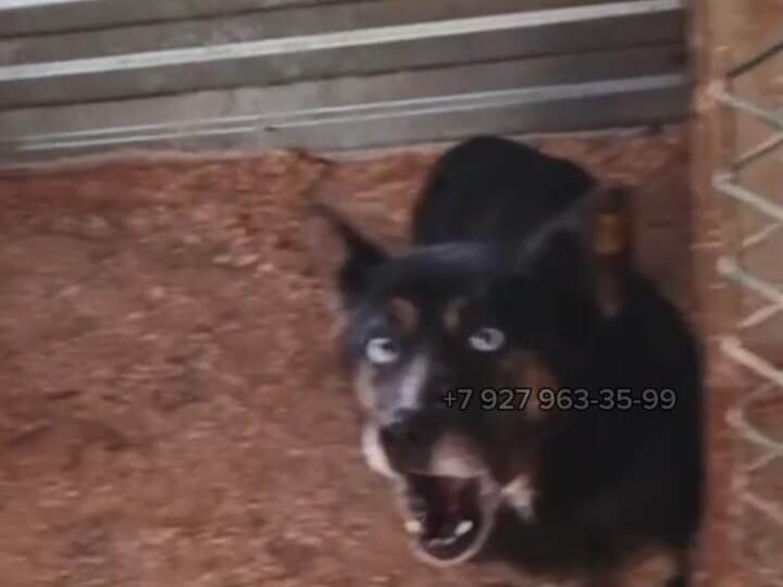 🆘Машина уезжает без нее, помогите🙏🏻