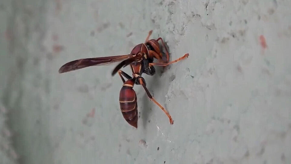 ФОТО: Кадр программы "Как устроен мир", РЕН ТВ