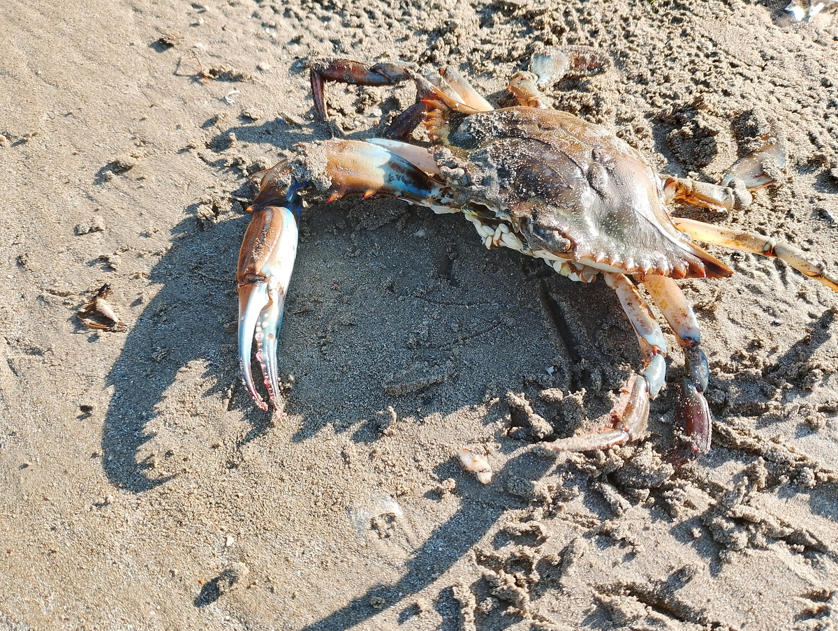 Это чтобы вас напугать. Кризис - это страшно!