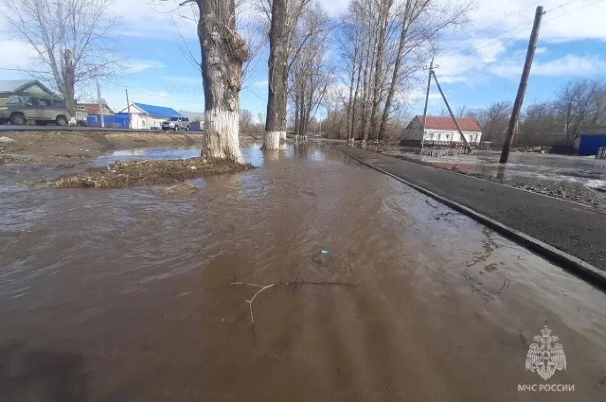    В Ульяновской области после снежной зимы ждут серьёзного паводка