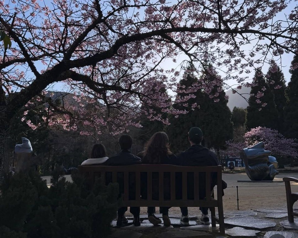    Семья под сенью цветущей сакуры. Фото: соцсети