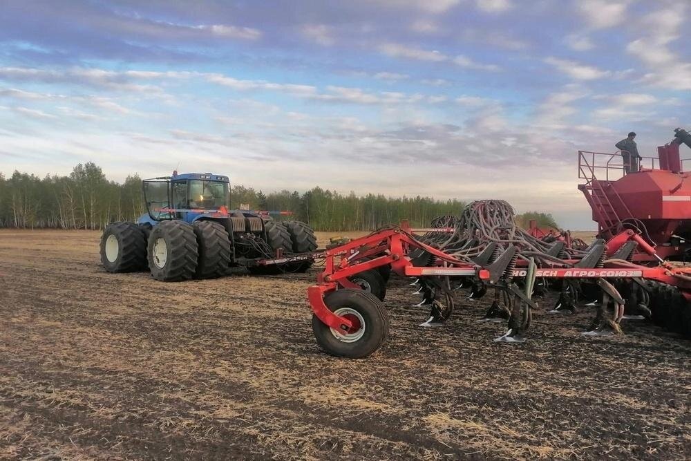    В амбициозных планах у тюменских аграриев собирать по три центнера растительного масла с гектара. Источник: Официальный сайт администрации города Тюмени.