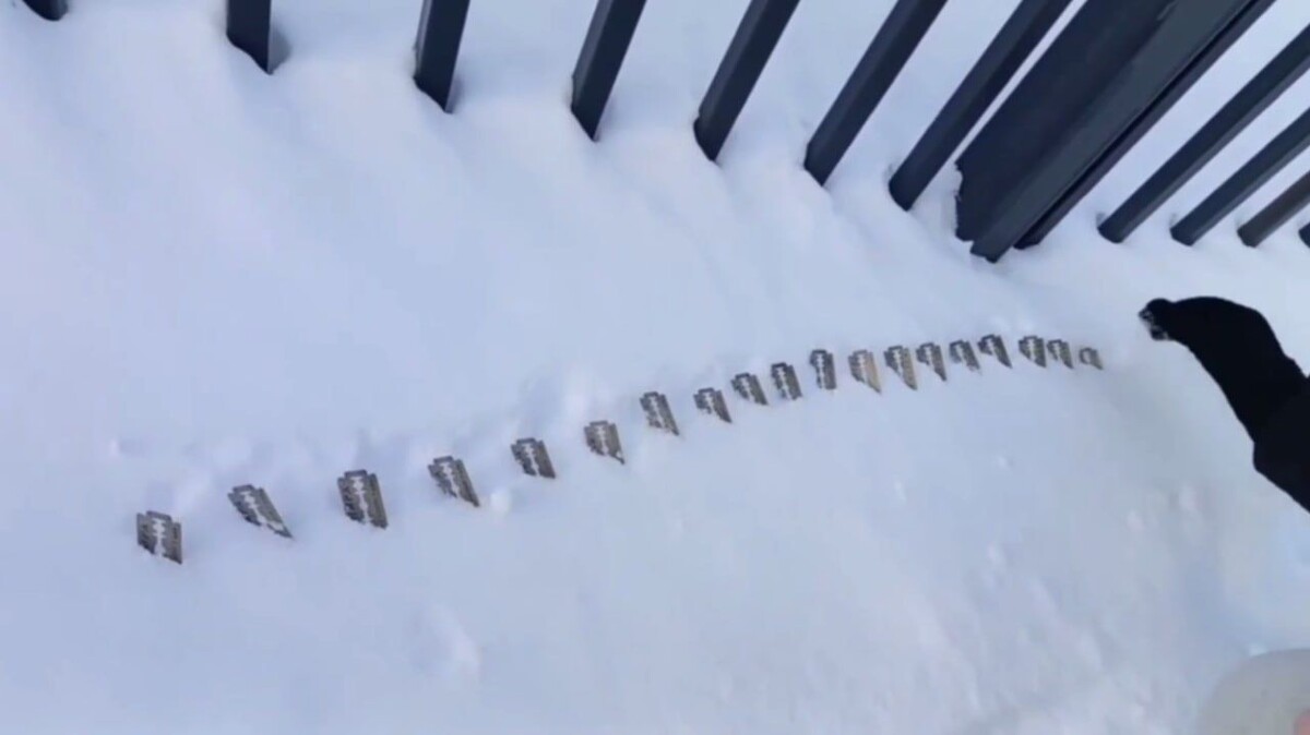     / Источник: Кадр из видео