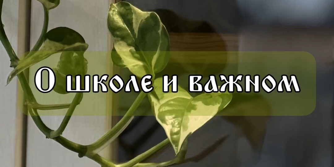 Поговорим о школе и важном