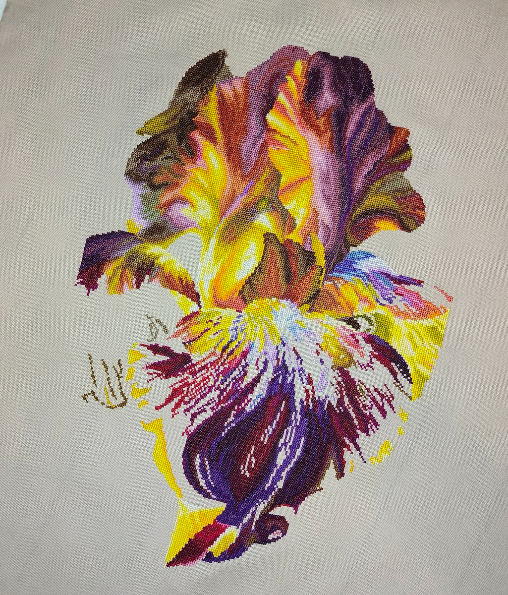 На данный момент ирис выглядит вот так