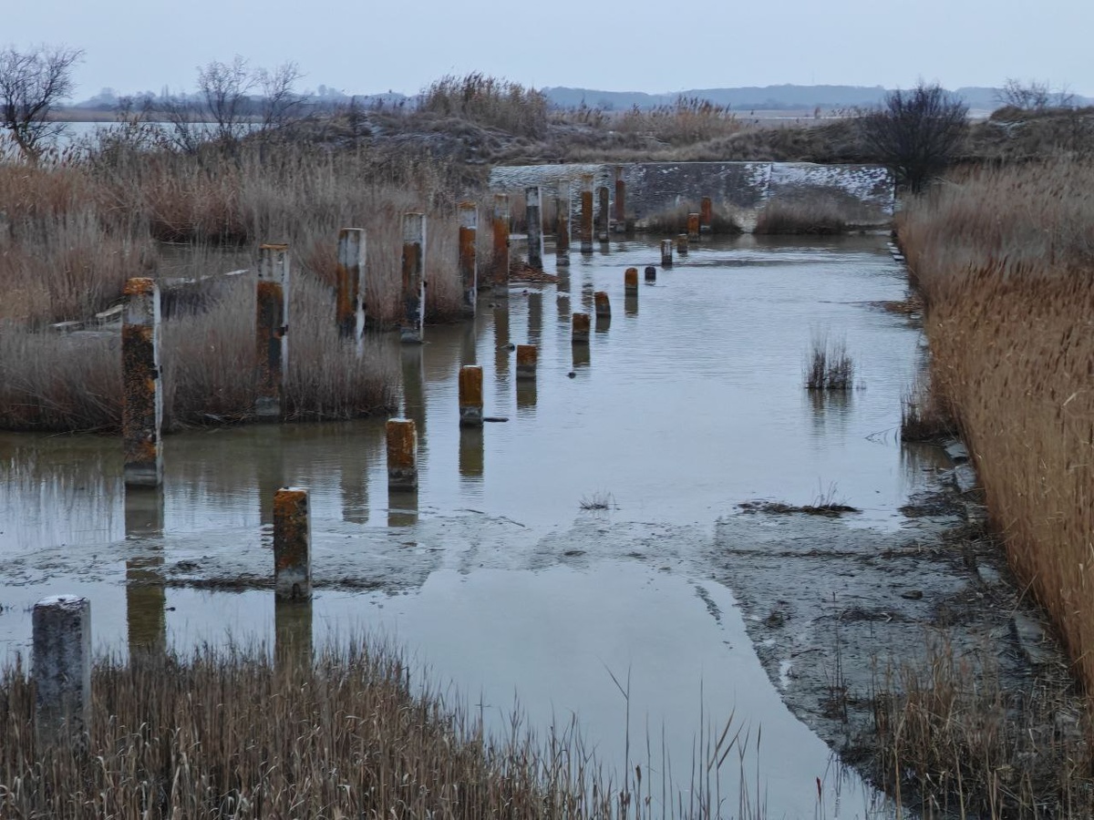    Фото: пресс-служба губернатора Херсонской области