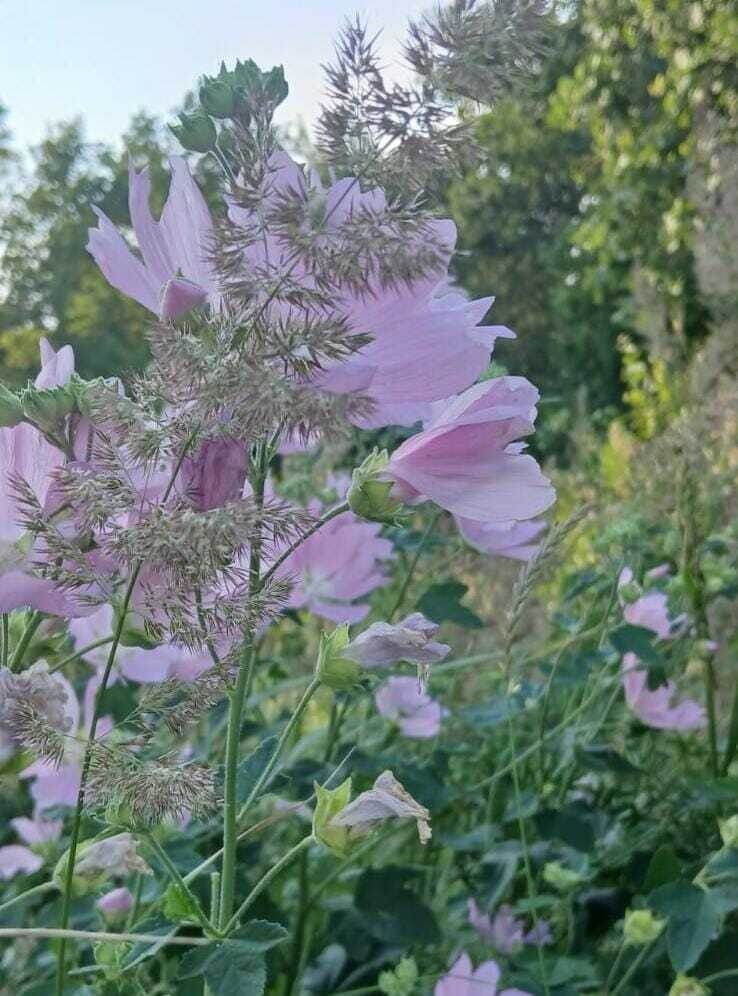     Журналистикада кем күбрәк эшли?