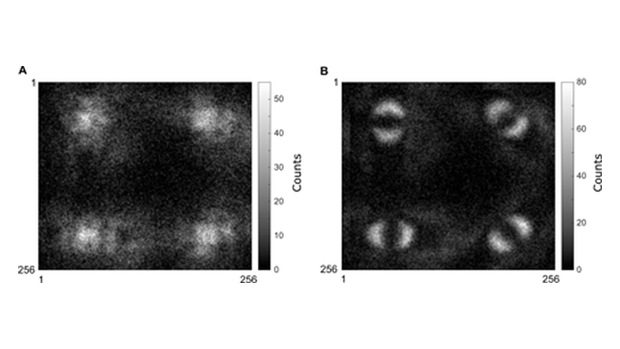Первый прямой снимок квантовой запутанности фотонов. «Жуткое дальнодействие» в объективе.