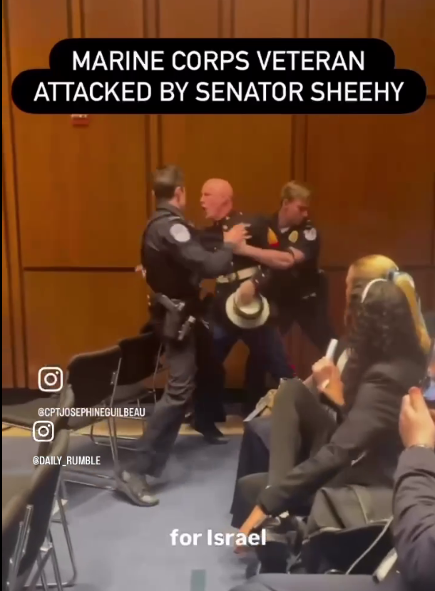 Стоп-кадр выступления МакГинниса в Сенате.