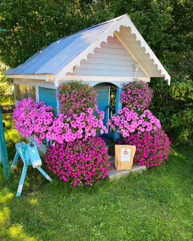 Выращивание петунии в домашних условиях