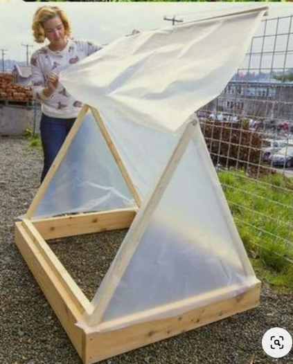 Фото взято в открытом доступе.