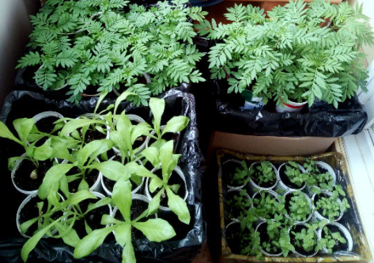 Фото из личного архива автора.