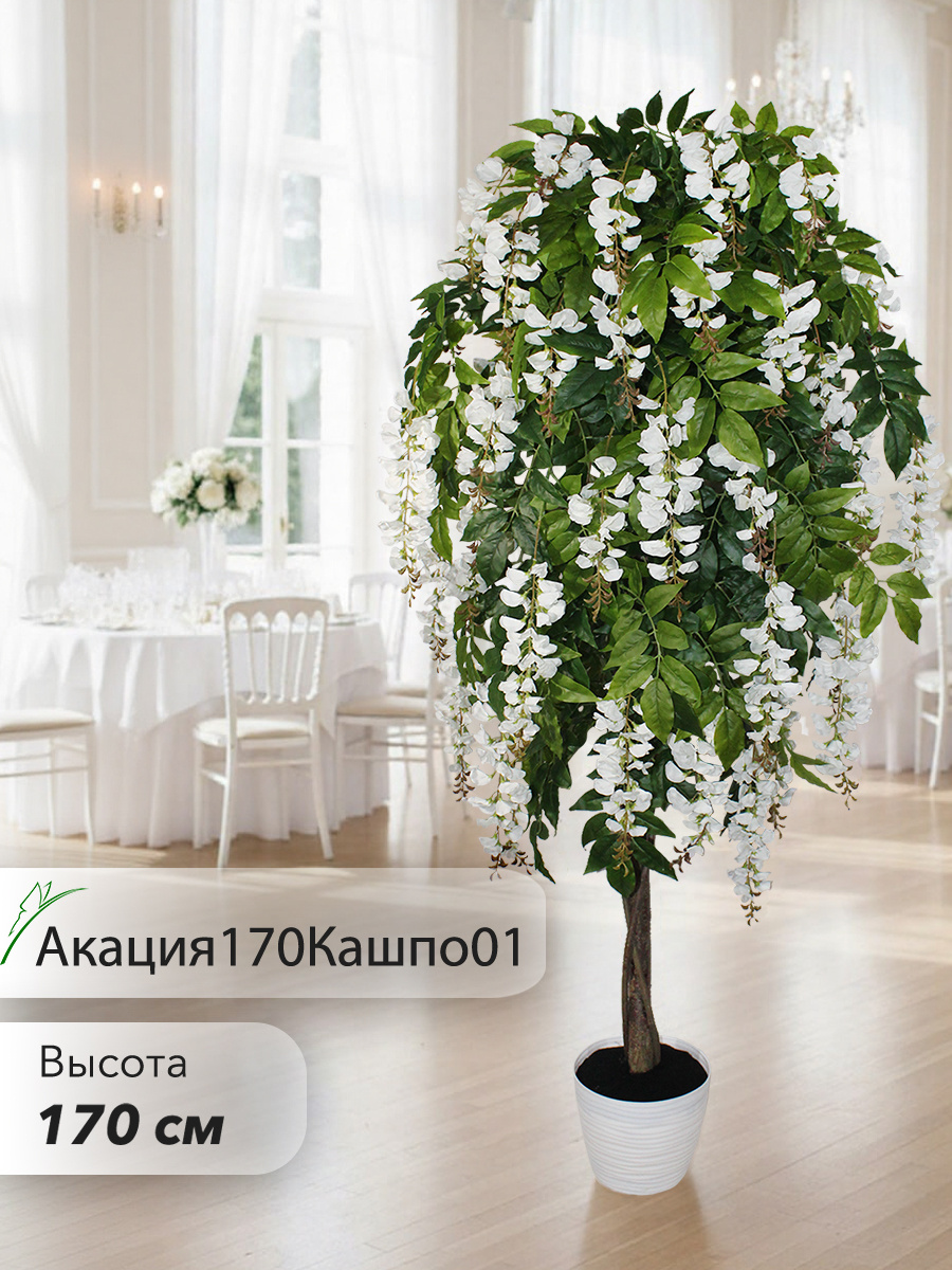 На фото пример использования нашего искусственного дерева Акации белой высотой 170см.