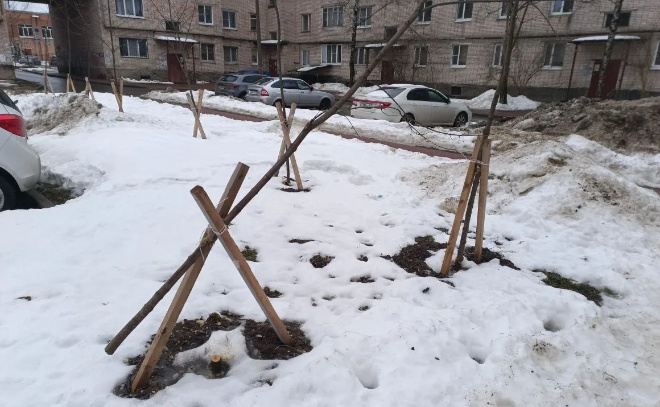    © Администрация Гатчинского округа