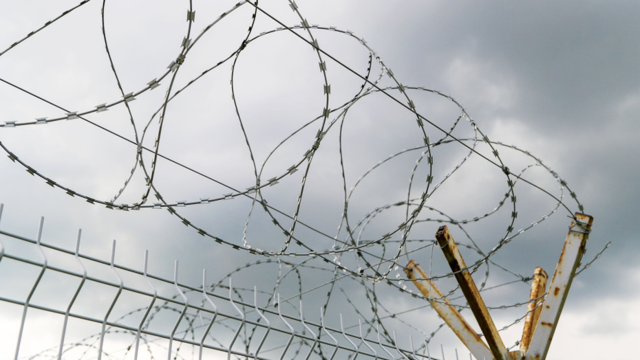    Алексей Белкин/NEWS.ru