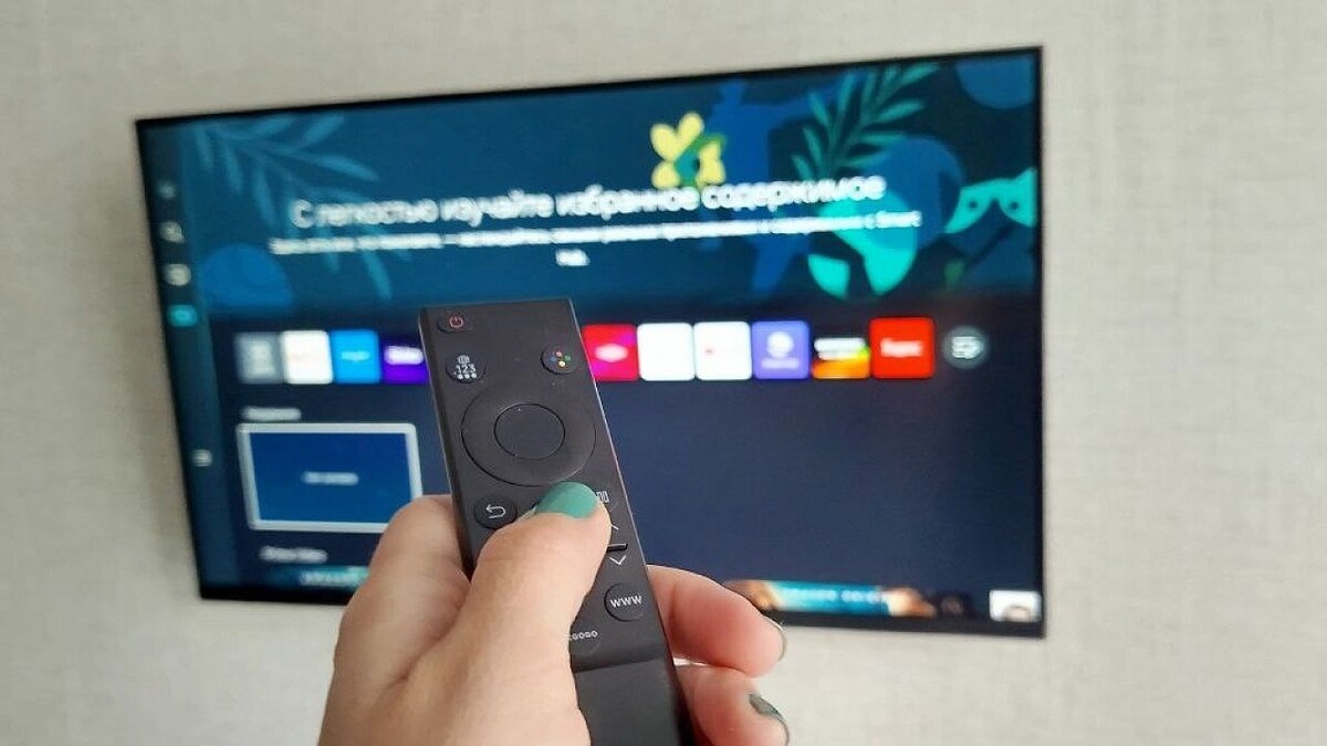    Фото: телеканал «Краснодар»