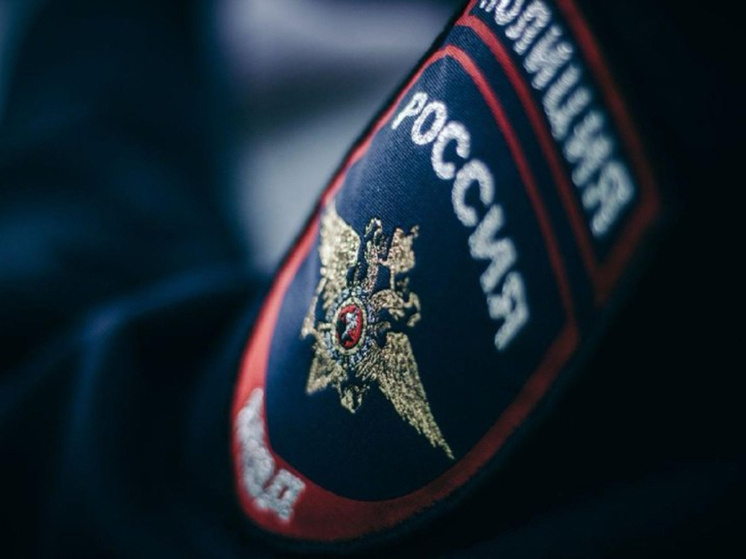     Фото: УМВД по Тульской области