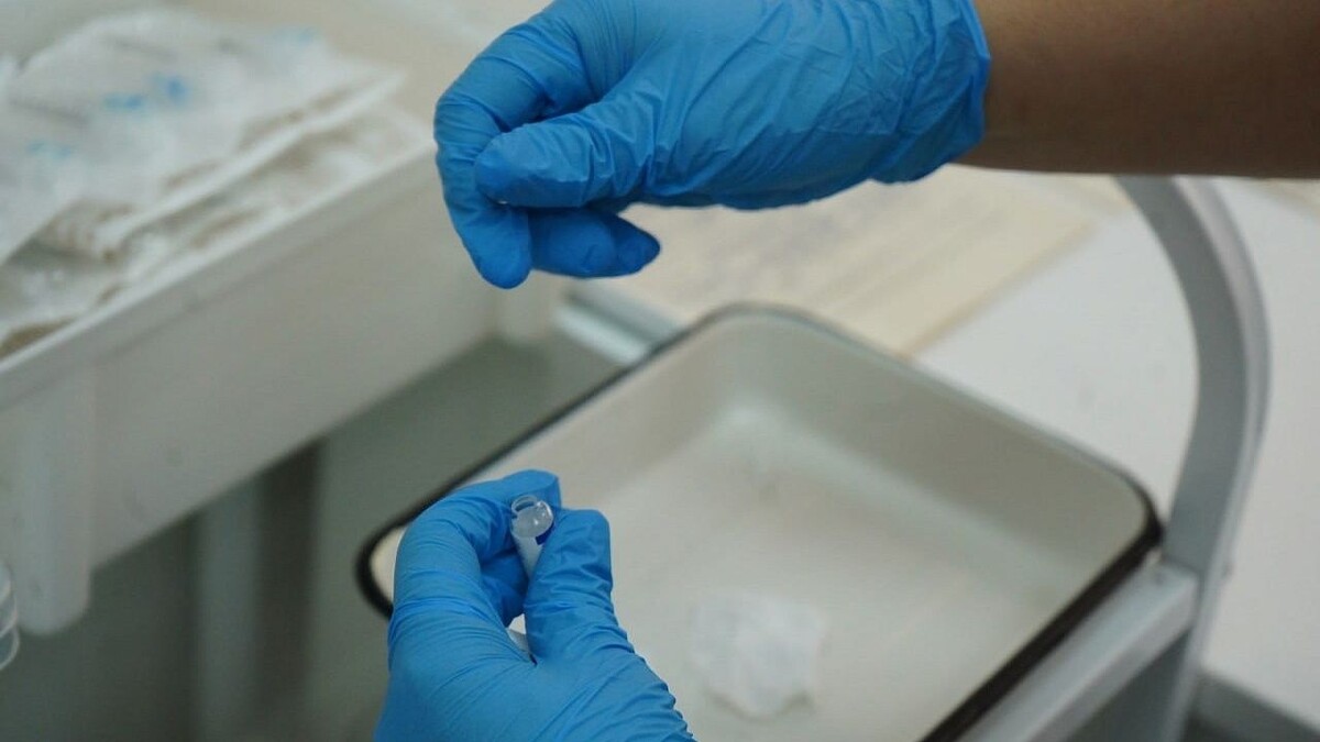    Фото: телеканал «Краснодар»