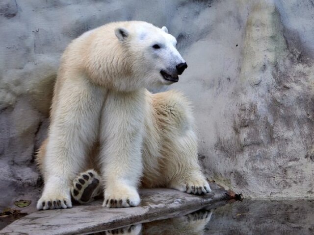    Фото: портал мэра и правительства Москвы/Максим Денисов