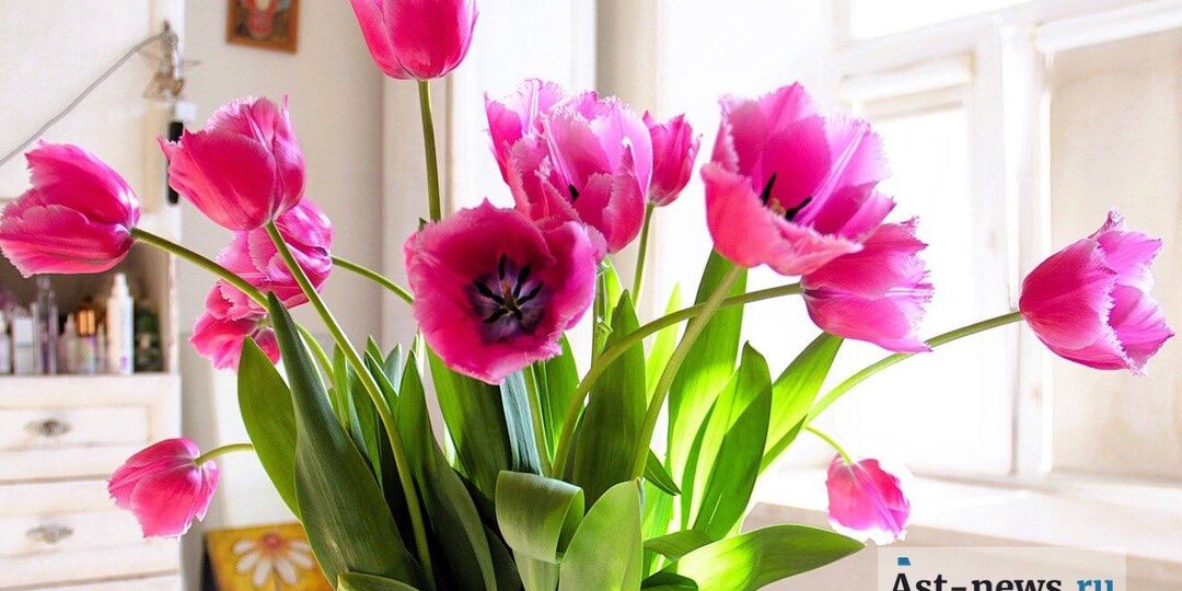 Найден самый дорогой в Астрахани букет на 8 марта