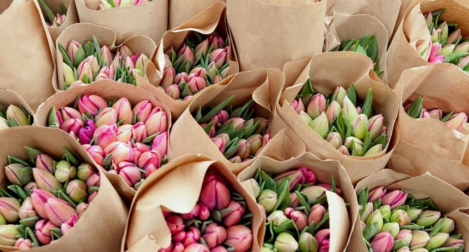    медиасток.рф