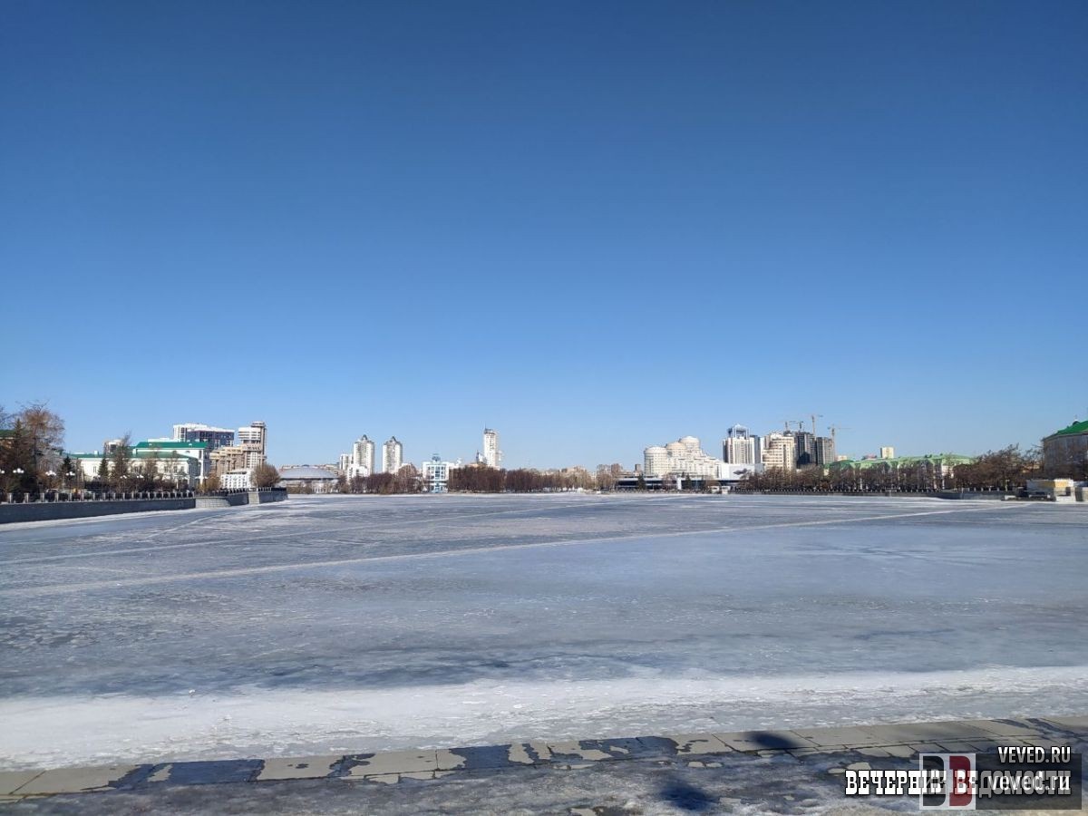     Фото: Юлия Кольтенберг / Вечерние ведомости