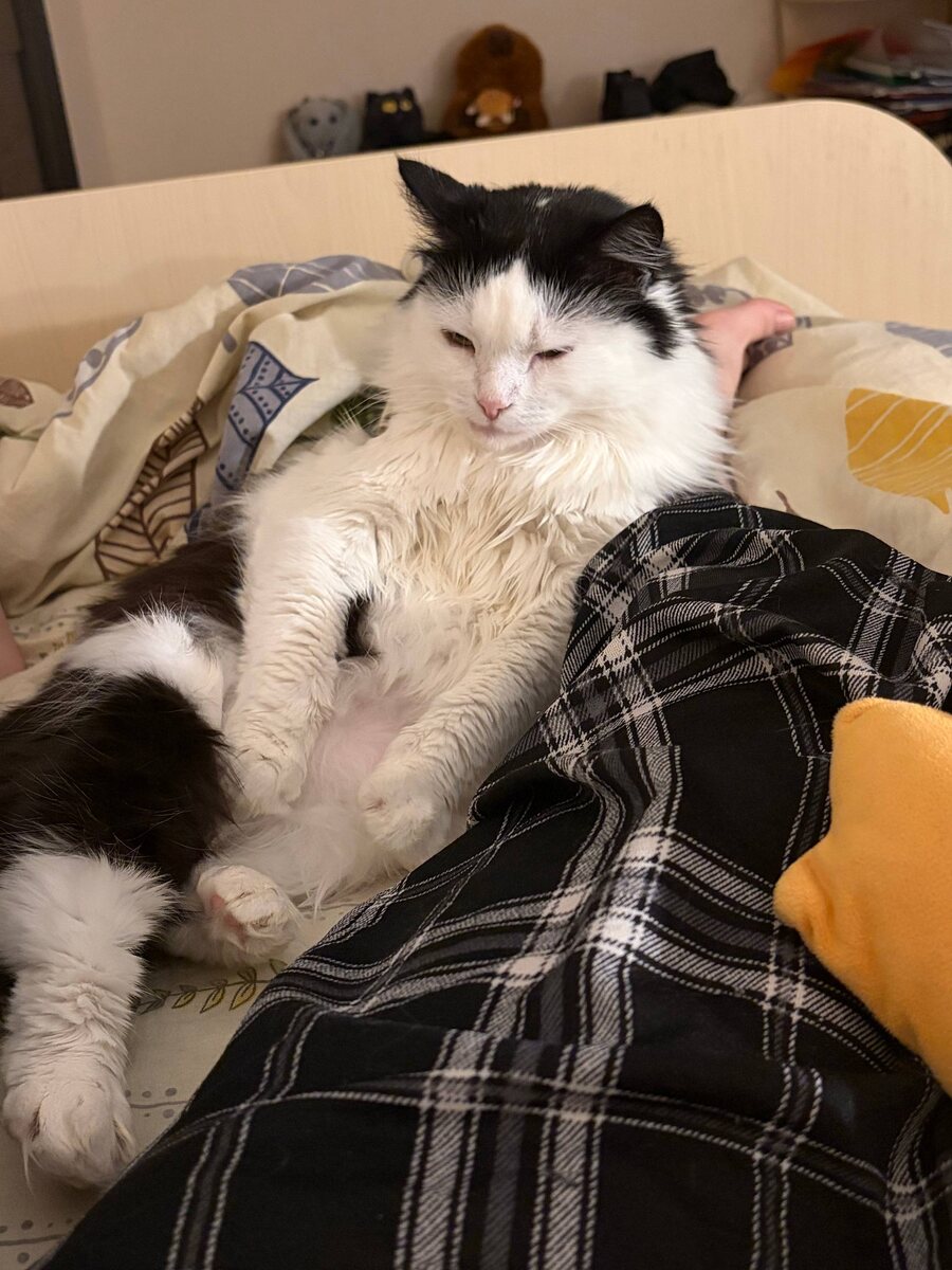 Лизонька у Ксюши в детской. Вернее, на Ксюше. Она от дочки не отходит теперь. Смотрите, какой животик знатный стал! Розовенький такой, жирненький. 