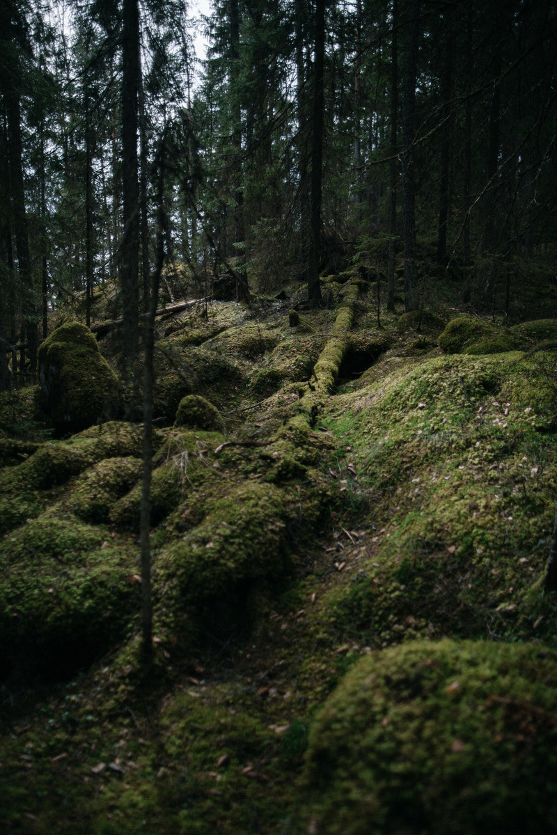 фото из интернета