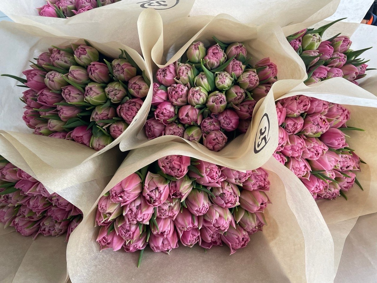    Корпорация развития Карелии / VK