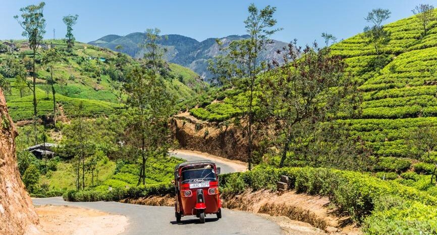    Анна Ефимова / Фотобанк Лори