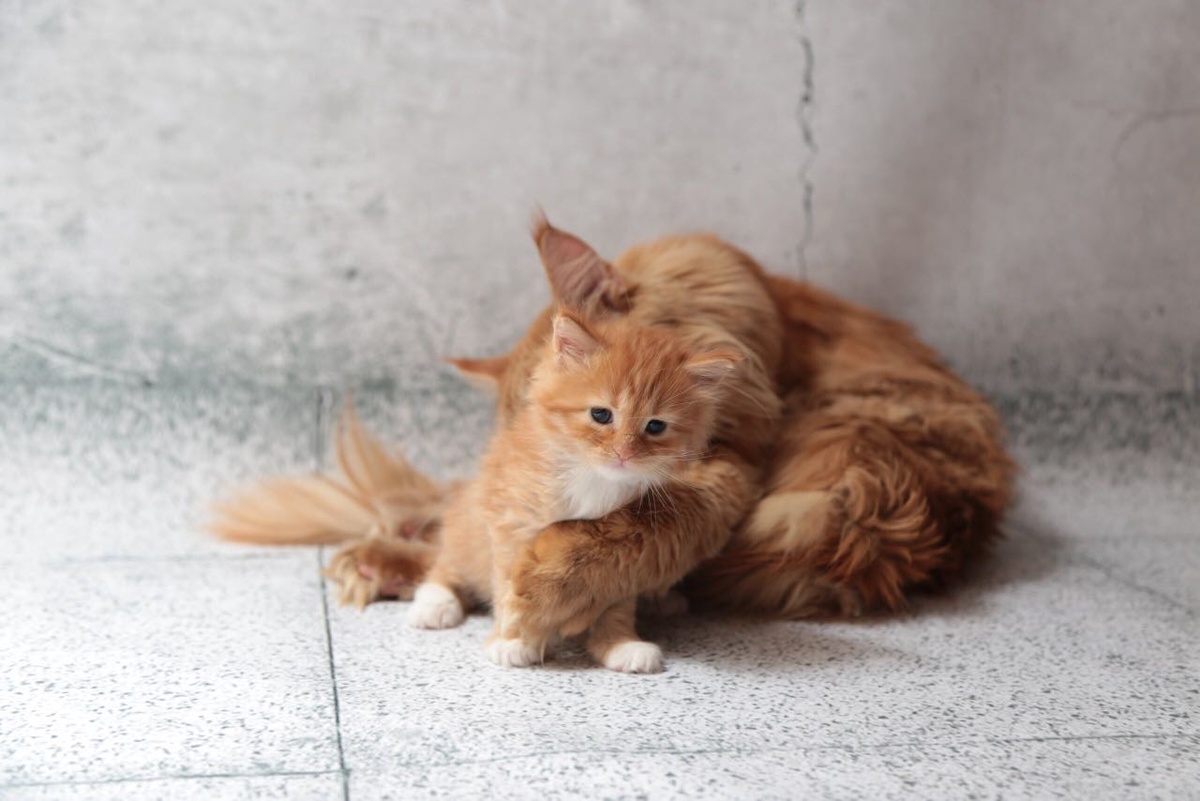 Моя фотография